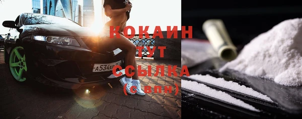 стаф Богородицк