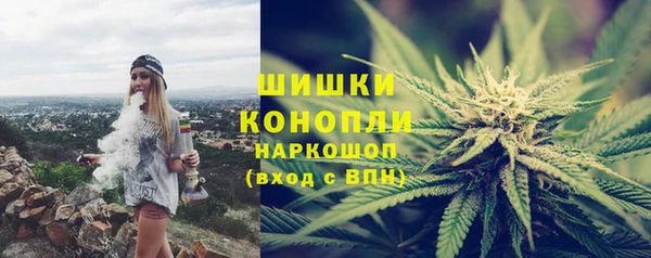 шишки Богданович