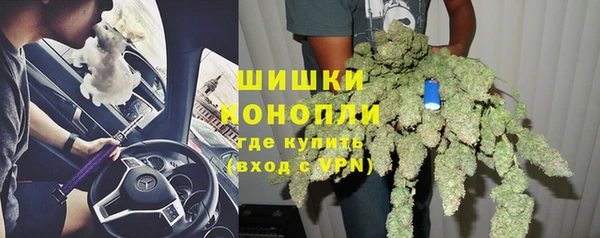 стаф Богородицк