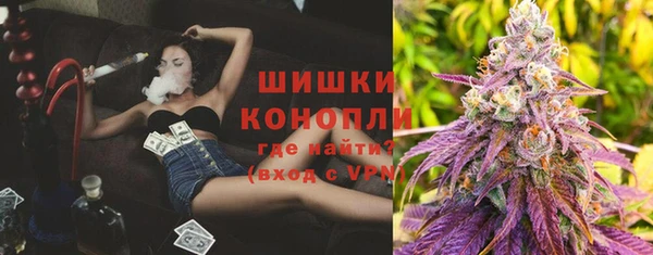 шишки Богданович