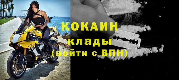 шишки Богданович